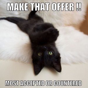 Most offers accepted